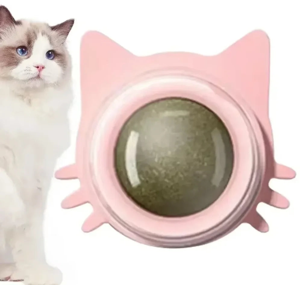 Catnip Toys for Cats Indoor Interactive Wall Spin Ball Natural Mint Enhances Digestion Appetite Stimulant Cat Dental Care