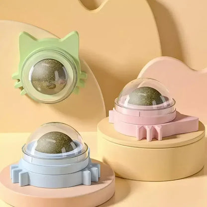 Catnip Toys for Cats Indoor Interactive Wall Spin Ball Natural Mint Enhances Digestion Appetite Stimulant Cat Dental Care